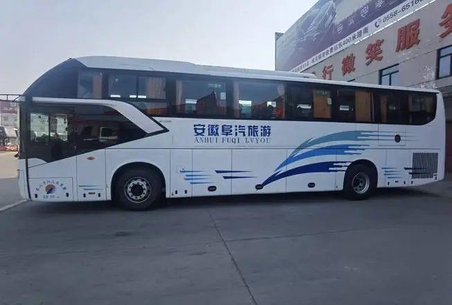 临泉旅游专线来了!直达这些景点